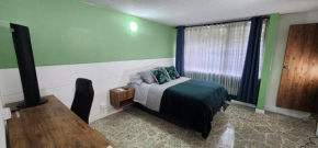 Casa de las palmas 3